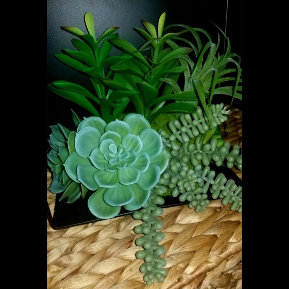 Succulent Floating Cube Shelf Wall Decor - Picture 5 of 8